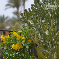 фото из отзыва ID 1945626