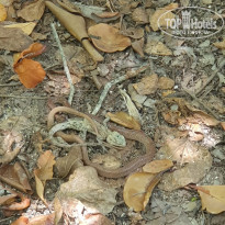 фото из отзыва ID 1945822