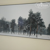 фото из отзыва ID 1945889