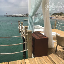 фото из отзыва ID 1945892