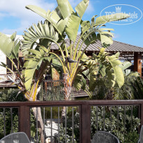 фото из отзыва ID 1945905