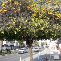 фото из отзыва ID 1945905