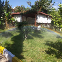 фото из отзыва ID 1946048