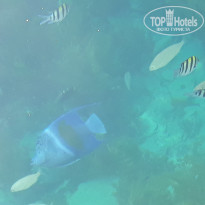 фото из отзыва ID 1946107