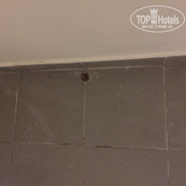 фото из отзыва ID 1946119