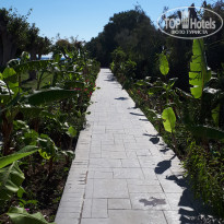 фото из отзыва ID 1946235