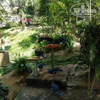 фото из отзыва ID 1946219