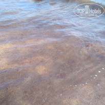 фото из отзыва ID 1946438