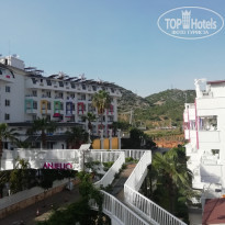 фото из отзыва ID 1946469