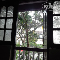 фото из отзыва ID 1946221