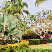 фото из отзыва ID 1946763