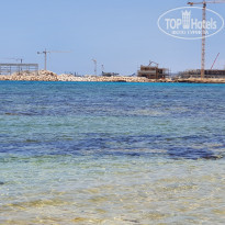 фото из отзыва ID 1946841