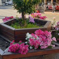 фото из отзыва ID 1946938