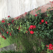 фото из отзыва ID 1946821