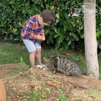 фото из отзыва ID 1946652