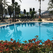 фото из отзыва ID 1946783