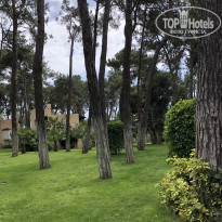 фото из отзыва ID 1946821