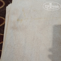 фото из отзыва ID 1943380