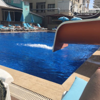 фото из отзыва ID 1947350