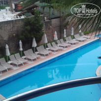 фото из отзыва ID 1947561