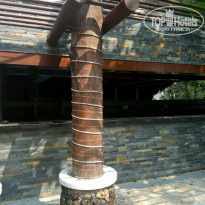 фото из отзыва ID 1945481