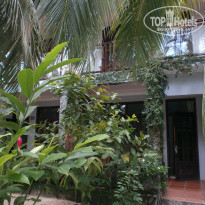 фото из отзыва ID 1947674