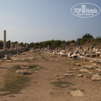 фото из отзыва ID 1947785