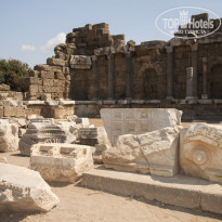 фото из отзыва ID 1947785