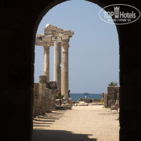 фото из отзыва ID 1947785