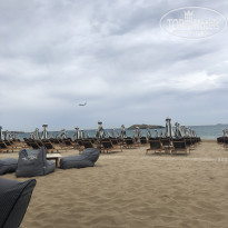 фото из отзыва ID 1945823