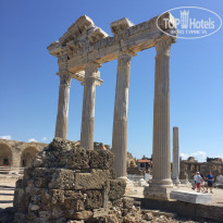 фото из отзыва ID 1947835