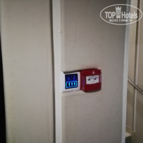 фото из отзыва ID 1948008