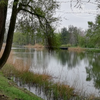 фото из отзыва ID 1948008