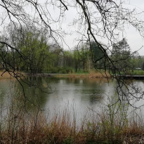 фото из отзыва ID 1948008