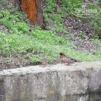 фото из отзыва ID 1948008