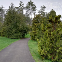 фото из отзыва ID 1948008