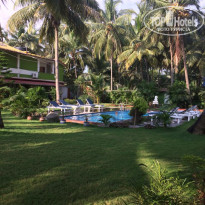 фото из отзыва ID 1947983