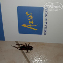 фото из отзыва ID 1948038