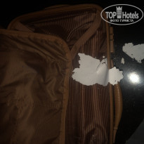 фото из отзыва ID 1948114