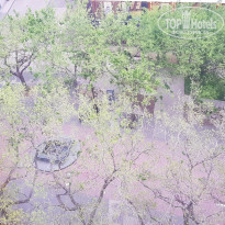 фото из отзыва ID 1948106