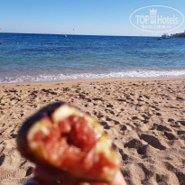 фото из отзыва ID 1948143