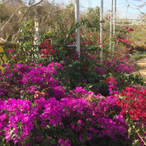 фото из отзыва ID 1948191