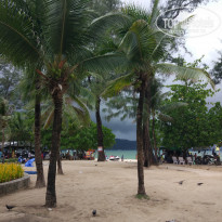 фото из отзыва ID 1948301