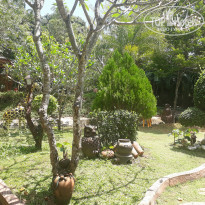 фото из отзыва ID 1948598