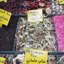 фото из отзыва ID 1944186