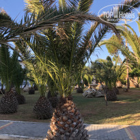 фото из отзыва ID 1944068