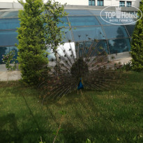 фото из отзыва ID 1949243