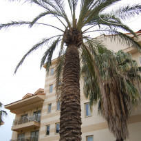 фото из отзыва ID 1949417