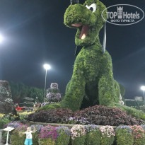 фото из отзыва ID 1949481