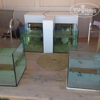 фото из отзыва ID 1949415